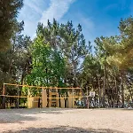 Plava Laguna
