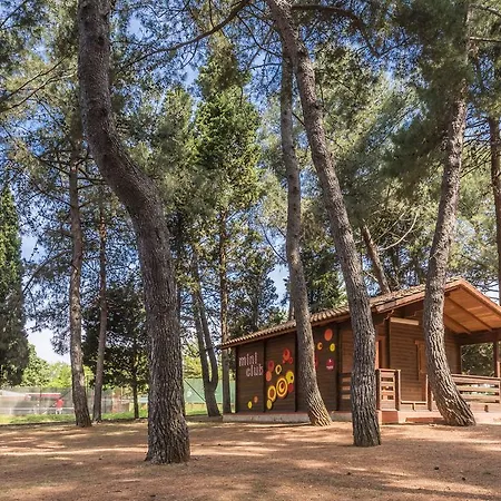 Plava Laguna 3*