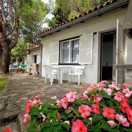 Plava Laguna 3*
