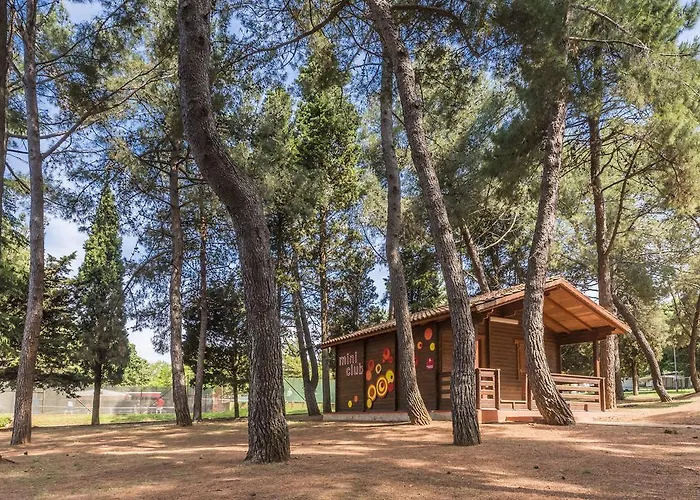 Plava Laguna 3*