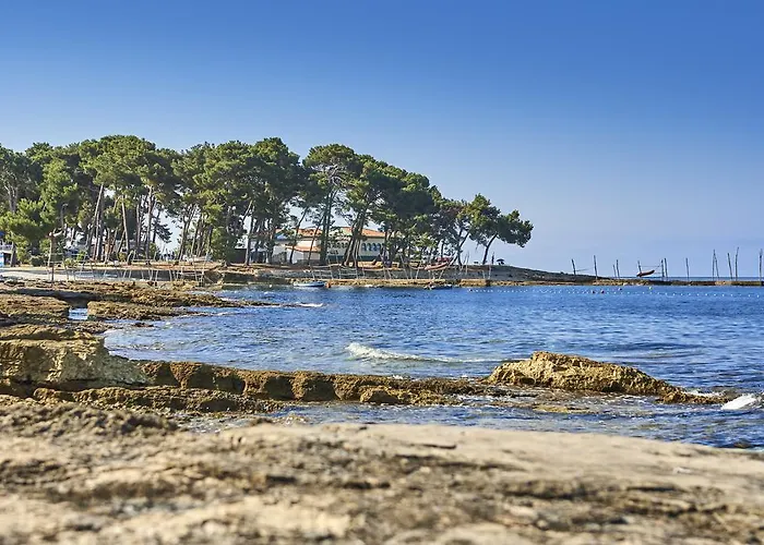 Parco vacanze Plava Laguna Savudrija